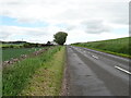 B9134 approaching Howmuir Farm Cottages