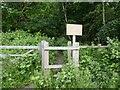 Access to Woodland path and steps to Trooper