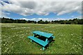 Picnic Bench