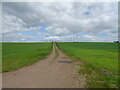 Farm track, East Pitforthie