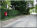 TL8838 : Henny Street & Shalford Green Postbox by Geographer