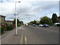 Bus stop on Loon