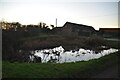 Pond, Church Farm