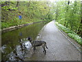 Waiting by the canal in the rain