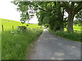 Fence and tree-lined minor road on the flank of Hawber Hill