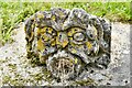 Burrington, Holy Trinity Church: Gargoyle in the churchyard