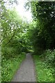 Path beside Osbaldwick Beck