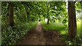 Path running alongside Stowe Avenue