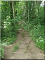 Steps at Craig-y-Parcau Local Nature Reserve, Bridgend