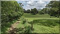 Bridleway heading to Holback Lane