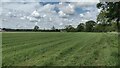 Path near Woodgreen Farm