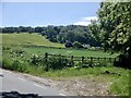 Fields, Bickerton