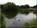 The Sidings Pool, Bluebell Drive Park, Bedworth