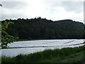 Crop under cover, Glen Carse