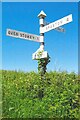 Direction Sign ? Signpost at Halsey Cross, Nether Stowey