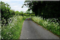 Bend along Marlhill Road