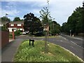 Abbey Road / Rectory Way