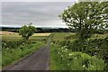 Country road at Potterhill