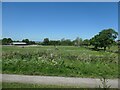 Paddocks at Manor Farm livery stables