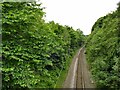 Railway south-west of Roundwood Road