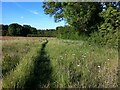 Unofficial path near Hall Brook, edge of Holbrooks and Keresley, Coventry