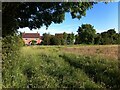 Recent neo-vernacular housing seen from field by Watery Lane