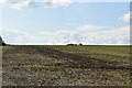 TQ6366 : North Downs farmland by N Chadwick