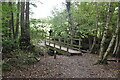 Footbridge in Guestling Wood