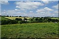 Farmland between Strathaven and Sandford