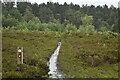 Path and marker on Ockley Common