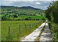 On the track to Frith Bottom