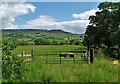 By Lea Farm, looking to The Roaches