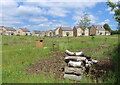 Grass, Logs and New Houses