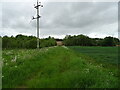 Farm track near North Mains