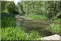 Medieval Fishpond, Eynsham Meadows