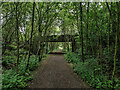 Former Potteries Loop Line Bridge