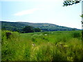 View to Earls Hill near Pontesbury, Shropshire