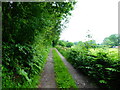 Footpath and track below Earls Hill near Pontesbury