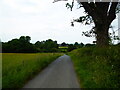 Lane near Pontesbury