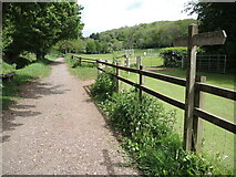 ST5645 : The path below Strawberry Wood by Neil Owen