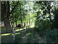 Footpath at Langham Lodge