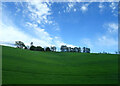 Cereal crop towards Nether Newbigging