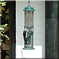 Male Great Spotted Woodpecker on a bird feeder