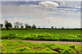 Farmland north of Widdrington