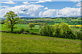 Below Cockyard Tump 