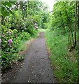 Murdostoun Estate road