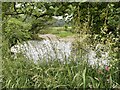 Afon Tywi from a grassy riverbank