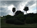 View of palm trees in Mayesbrook Park