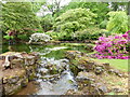 Ornamental pond, Lydney Park Gardens