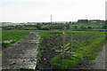 Footpath leaving Dry Hurst Farm